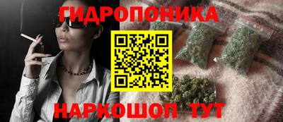 spice Чебоксары