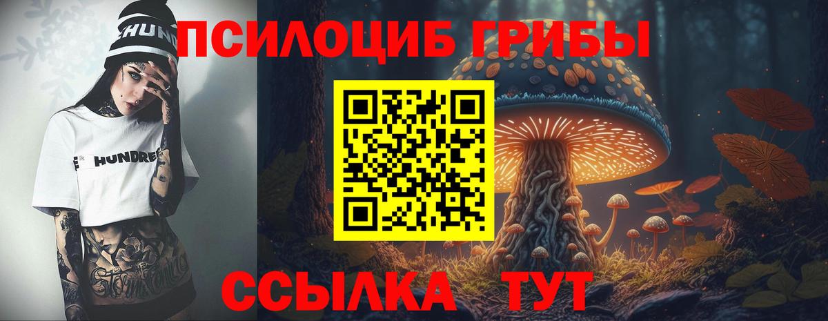 Псилоцибиновые грибы Psilocybe Хасавюрт